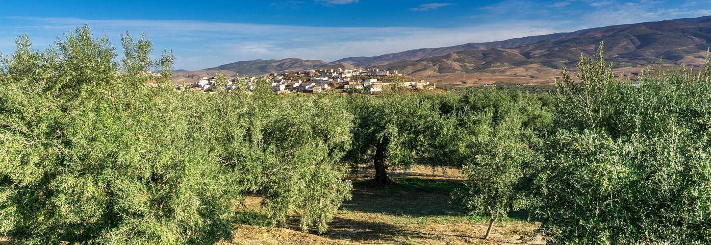 ご依頼の流れ+報酬額表 ご依頼の流れ+報酬額表